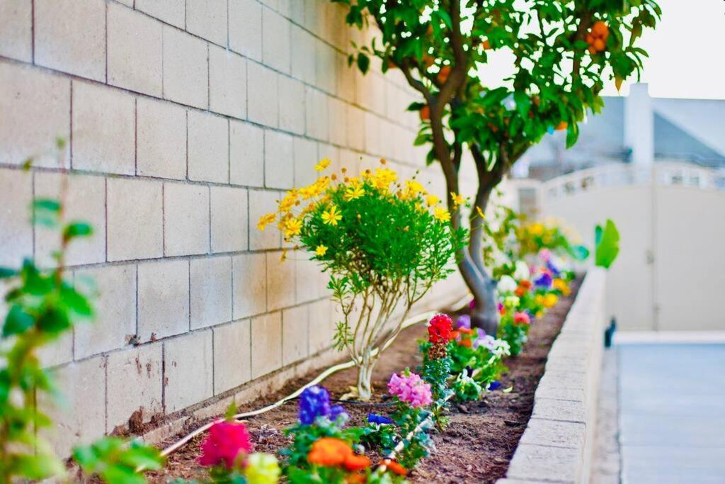 La Sunny House Beautiful Yard 7 Rooms 4 Bathrooms Near Disneyland & Hollywood & Downtown Гесієнда-Гайтс Екстер'єр фото